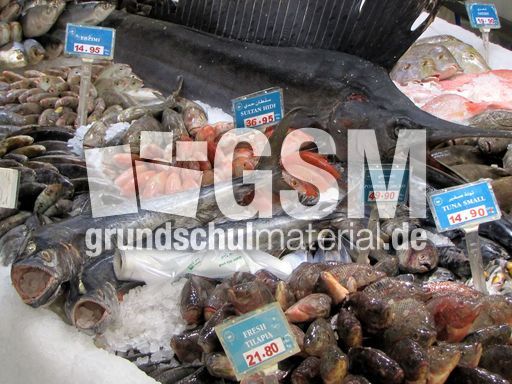 049 Preisauszeichnung für Fische.JPG